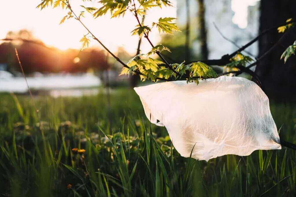 plastic bag in park